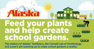 While some fundraisers don't pay them much attention, a donation form is actually one of the most important. That S Right The Cornell Lab Of Ornithology Alaska Fertilizer And Lowe S Are Working Together To Support Scho Science Skills School Garden Outdoor Education