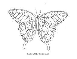 Tiger swallowtail butterfly 1 of 1 pretty drawing of a tiger swallowtail butterfly to color. Butterflies Of North America Coloring Pages By Mama Draw It Tpt