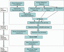 Flow Chart For Drug Target Prediction The 4 Stage Task