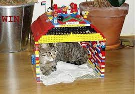 Lego Cat House Cool Pets Cat House Crazy Cats