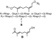 Image result for Fadogia ancylantha