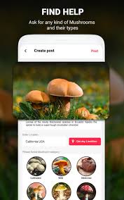 You can also view the 'top 20' of the month which lists all the common fungi you can find in the month you are in. Mushroom Identifier App By Photo Camera 2020 For Android Apk Download
