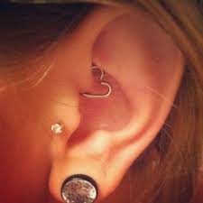 Piercing Stretchedlobes Bodycandy I Really Want Tragus Piercing But Im Worried It Might Hurt Too Much Ear Piercings Tragus Cute Piercings Piercing