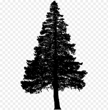 Check spelling or type a new query. Free Download Pine Tree Silhouette Png Image With Transparent Background Toppng