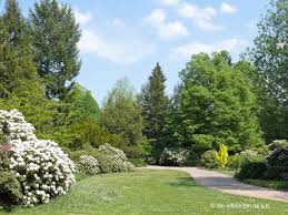 Maybe you would like to learn more about one of these? Grosser Garten In Dresden Sachsen Tours