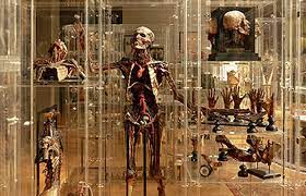 Check spelling or type a new query. Anatomisches Museum Ski Plus City Pass Stubai Innsbruck
