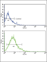 Anti chicken igg (h&l) dylight 405. Polyclonal Glut2 Antibody Mybiosource
