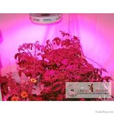 Maybe you would like to learn more about one of these? 90w Ufo Led Grow Light With 3 Watt Chip By Ledgrowlight Aquarium Com Au Australia