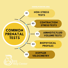 Image result for Contraction Stress Test