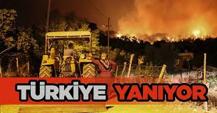 Bingöl'ün genç ilçesi servi bölgesinde 25 haziran'da öğlen saatlerinde başlayan yangın halen söndürülemedi. Ctgjxjzle81pmm