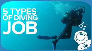 5 Types Of Diving Job Youtube