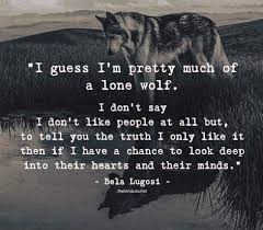 Pin By Marco Suter On Quotes An Stuff Wolf Quotes Lone Wolf Quotes Warrior Quotes