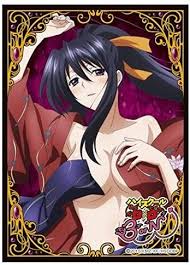 The digital art may be purchased as wall art, home decor, apparel, phone cases, greeting cards, and more. Amazon Com High School D D Born Akeno Himejima Card Game Character Sleeve Collection Mat Series No Mt244 Anime Girl Highschool Dxd 244 Toys Games