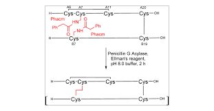 Disulfide Formation Strategies In Peptide Synthesis - Postma - 2014 -  European Journal Of Organic Chemistry - Wiley Online Library