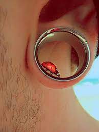 Piercing Eyelets Cute Ladybug Piercings Ear Piercings Ear Jewelry