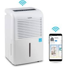 For those of us that have basements and crawlspaces in our homes we have to worry about conditions that create a habitat for mold, mildew and bacteria. Dehumidifiers Heating Venting Cooling The Home Depot