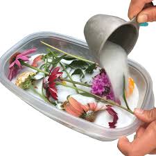 It's the perfect choice for preserving a bridal bouquet or creating dried flowers for jewelry, wreaths, resin crafts, or potpourri. Drying Flowers With Silica Gel Step By Step Instructions Dried Flowers Diy Dried Flowers Crafts Dried And Pressed Flowers