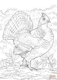 Ruffed Grouse Coloring Page Free Printable Coloring Pages Bird Coloring Pages Coloring Pages State Birds