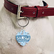 Sevimli Kedicikler Isimli Kedi Kunyesi Hediyemen Com