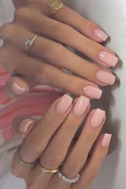 Savannah Landeros (savannahlanderos99)