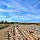 Volunteer on the Farm! Help us Plant Garlic! event image