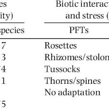Image result for Agrocharis pedunculata
