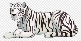 Harimau benggala hitam dan putih harimau putih gambar png. Harimau Putih Menggambar Harimau Bengal Sketsa Harimau Lukisan Cat Air Mamalia Pensil Png Pngwing