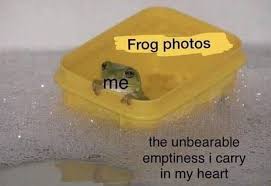 Pin By Punk Pebble On Self Portrait In 2020 Cute Frogs Frog Meme Frog Pictures