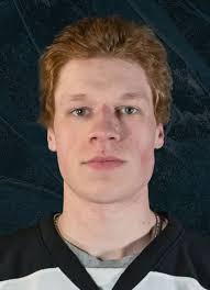 Caleb Huffman Hockey Stats and Profile at hockeydb.com