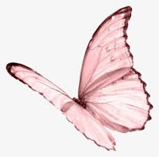 Tons of awesome aesthetic purple butterfly wallpapers to download for free. Butterfly Cyber And Overlay Image Pink Butterfly Aesthetic Hd Png Download Transparent Png Image Pngitem