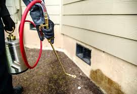 Most recently we've had a few noteworthy events that we think set them apart from other companies. Pest Control Service Salt Lake City Provo Park City Layton Utah Green Acre Landscape Services
