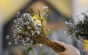 У 2021 році він почнеться 15 березня і триватиме до 1 травня. Koli Verbna Nedilya 2021 Vazhlivi Tradiciyi Ta Zaboroni Svyata Novini Chernivci Informacijnij Portal Molodij Bukovinec