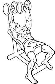 Should you use the barbell or dumbbells for building up your chest? Bench Press Wikipedia