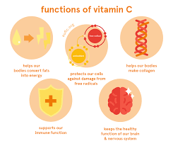 Vitamin c also aids in the body's production of collagen, helps bolster immunity and, on top of it all, improves your ability to absorb iron. Vitamin C Foods Functions How Much Do You Need More Eufic