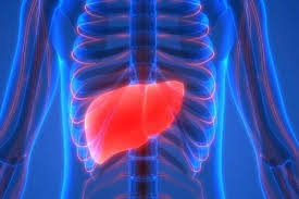 Seorang klien wanita berusia 82 tahun datang ke klinik dengan keluhan utama mata sebelah kiri gatal dan nyeri sudah lebih dari satu minggu. Kanker Hati Jarang Terdeteksi Sejak Dini Pahami Gejala Dan Kondisi Ini Lifestyle Bisnis Com