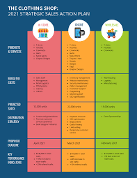 Strategic Distribution Sales Action Plan Template