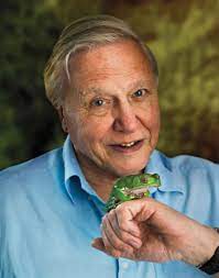 David attenborough== sir david frederick attenborough om, ch, cvo, cbe, frs, fzs, fsa (born 8 may 1926) is a british broadcaster and naturalist. Sir David Attenborough Thextraordinary