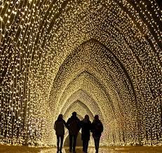 A Glittering Tunnel Of Lights Will Illuminate The Chicago Botanic Garden This Winter Light Tunnel Chicago Botanic Garden Light Trails