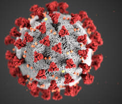 Insgesamt wurden bis zum jetzigen zeitpunkt deutschlandweit 75.781.404 impfdosen verabreicht (summe verabreichter erster und zweiter impfdosen). Coronavirus Im Kreis Ahrweiler Wieder 20 Neue Infektionen Kreis Ahrweiler Rhein Zeitung