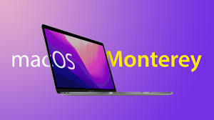 The best new safari features apple's native safari app for mac received a significant update in macos 12 monterey. Mtzarmgc44brzm