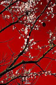 Wallpaper Red And White Aesthetic Background 1687 views | 7678 downloads. wallpaper red and white aesthetic