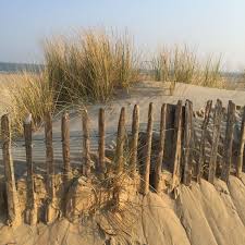 Herzstuck Holland Strand Urlaub Urlaub Holland Holland Reisen