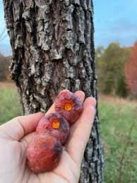 past classes & events