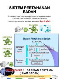 Pada sistem pertahanan tubuh nonspesifik, garis pertahanan pertama yaitu… jawaban soal sistem pertahanan tubuh: Sistem Pertahanan Badan