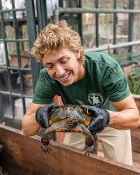 Image result for Tolpis capensis