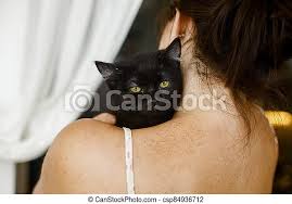 Find cats and kittens locally for sale or adoption in ontario : Adorable Black Kitten With Yellow Eyes On Female Shoulder In Room Woman Hugging Cute Scared Black Cat Adoption Concept Canstock
