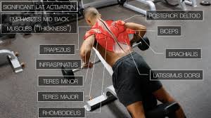 Other muscles, like the skeletal muscle that moves the arm, is controlled by the somatic or voluntary nervous system. The Best Science Based Back Workout Target Every Muscle Youtube