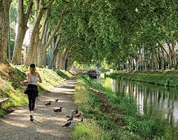 Le quartier des argoulets accueille sur son territoire la zone verte des argoulets, une base de sports et de loisirs d'une superficie de 50. L Ecrin Des Argoulets