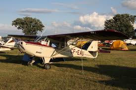 Image result for Brown 2009 Fleet
