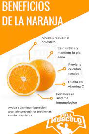 20 Beneficios Y Propiedades De La Naranja Fullmusculo Propiedades De La Naranja Beneficios De La Naranja Recetas Para La Salud
